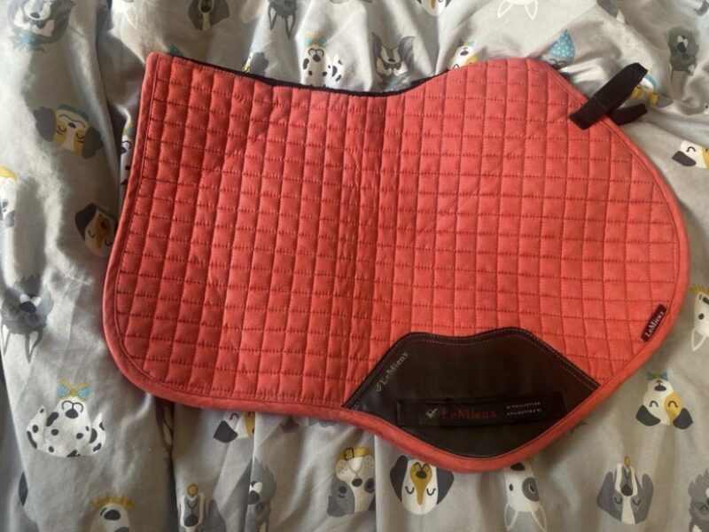 Discounted papaya Lemieux saddle pad size s/m