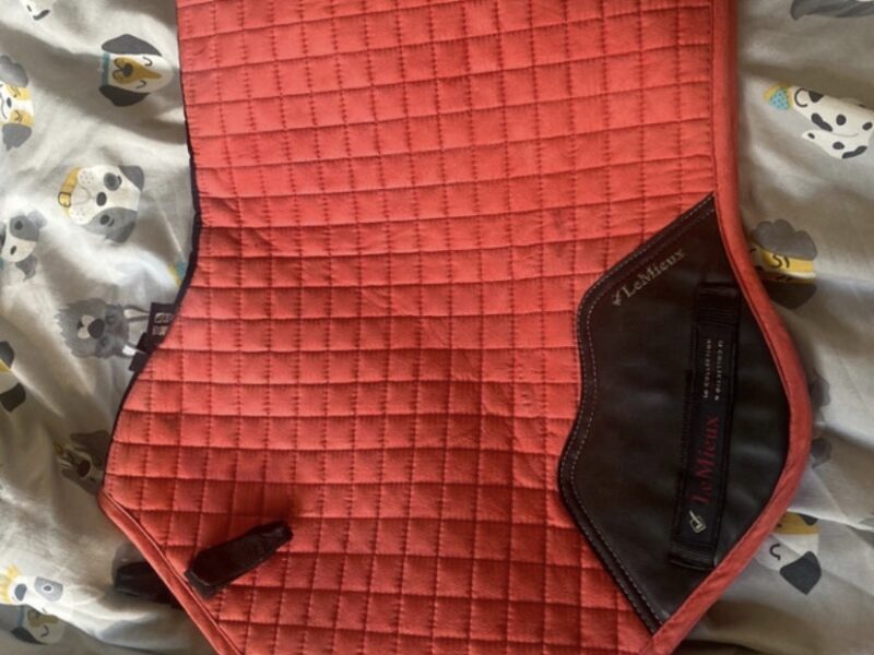 Discounted papaya Lemieux saddle pad size s/m
