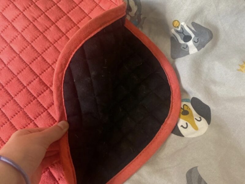 Discounted papaya Lemieux saddle pad size s/m