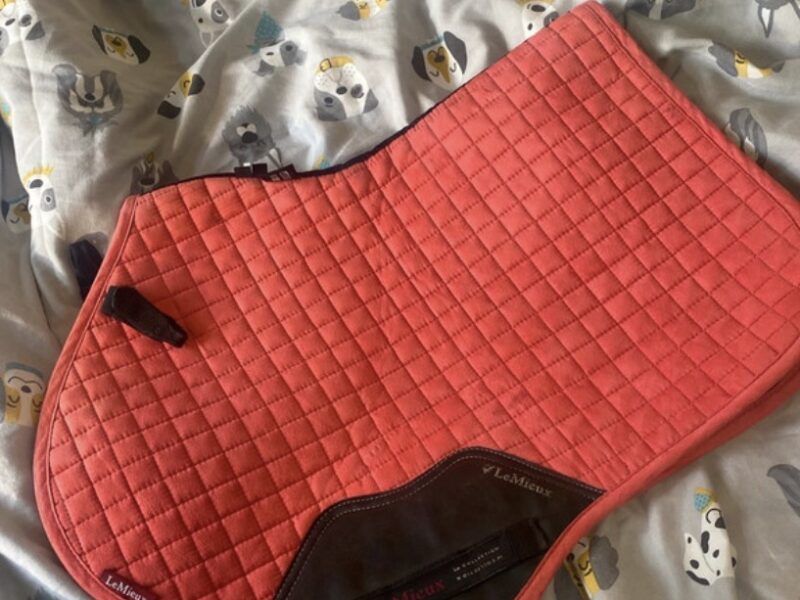 Discounted papaya Lemieux saddle pad size s/m