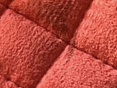 Discounted papaya Lemieux saddle pad size s/m