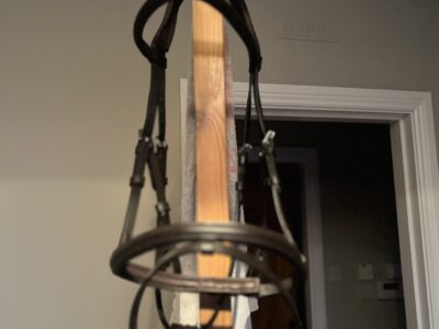 Velocity Cob size bridle