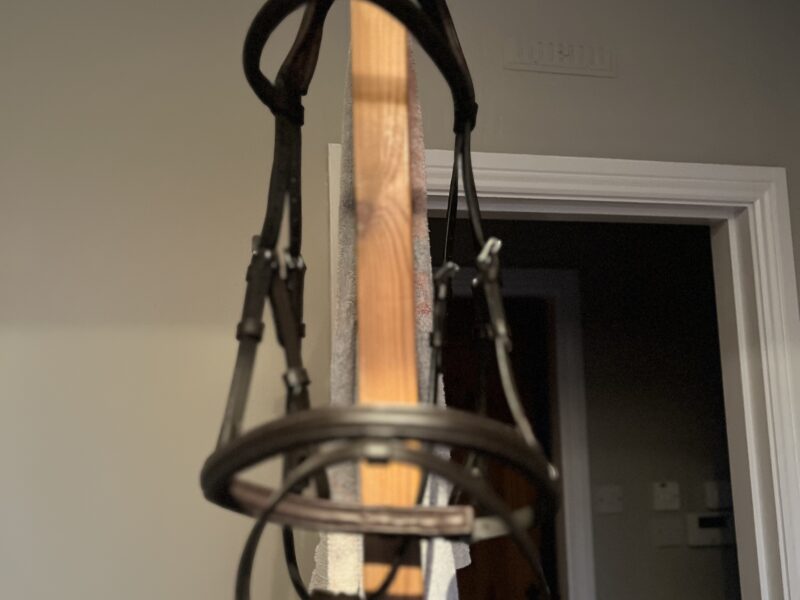 Velocity Cob size bridle