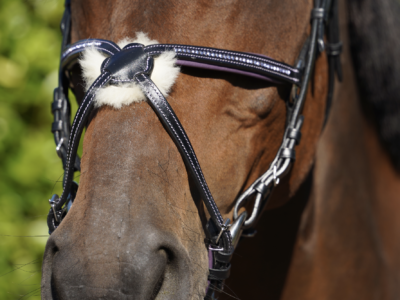 Lilac Grackle / Cavesson Leather Horse Bridle
