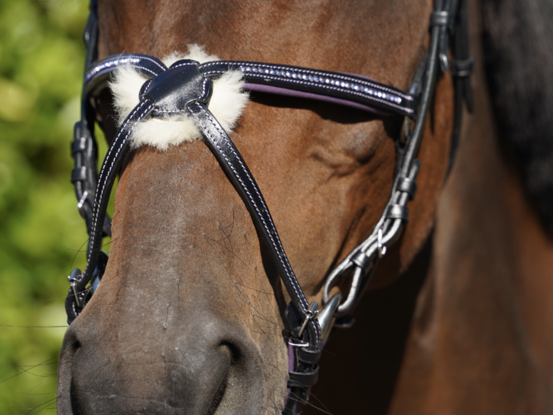 Lilac Grackle / Cavesson Leather Horse Bridle