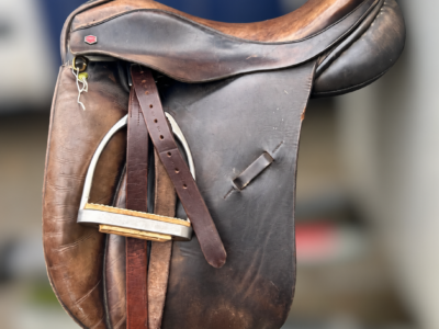 Albion saddle