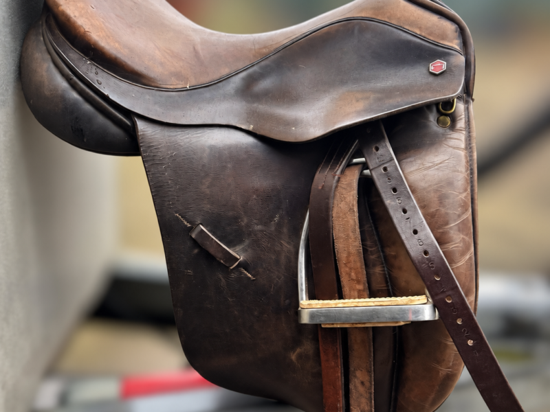 Albion saddle